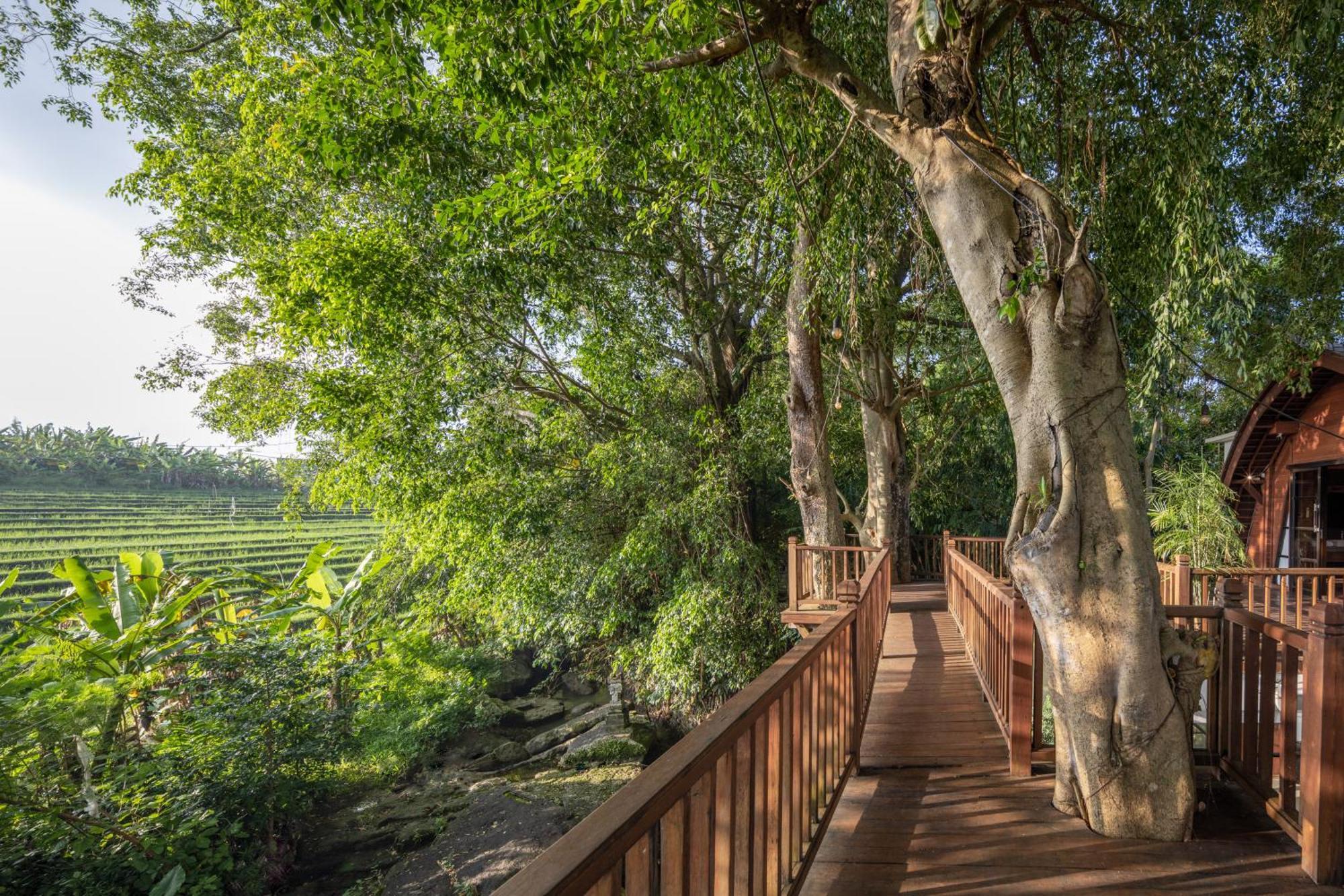 Paripadi Private Villa And Sanctuary Canggu Exterior foto
